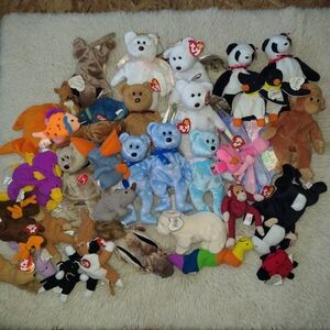 TY Beanie Babies Plush Toy Collection